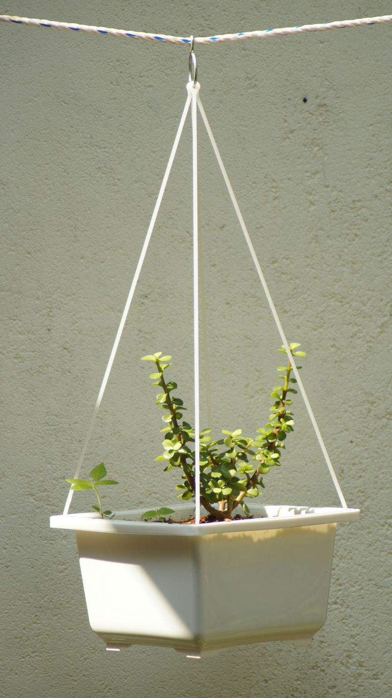 Jardin Harmonie France 5